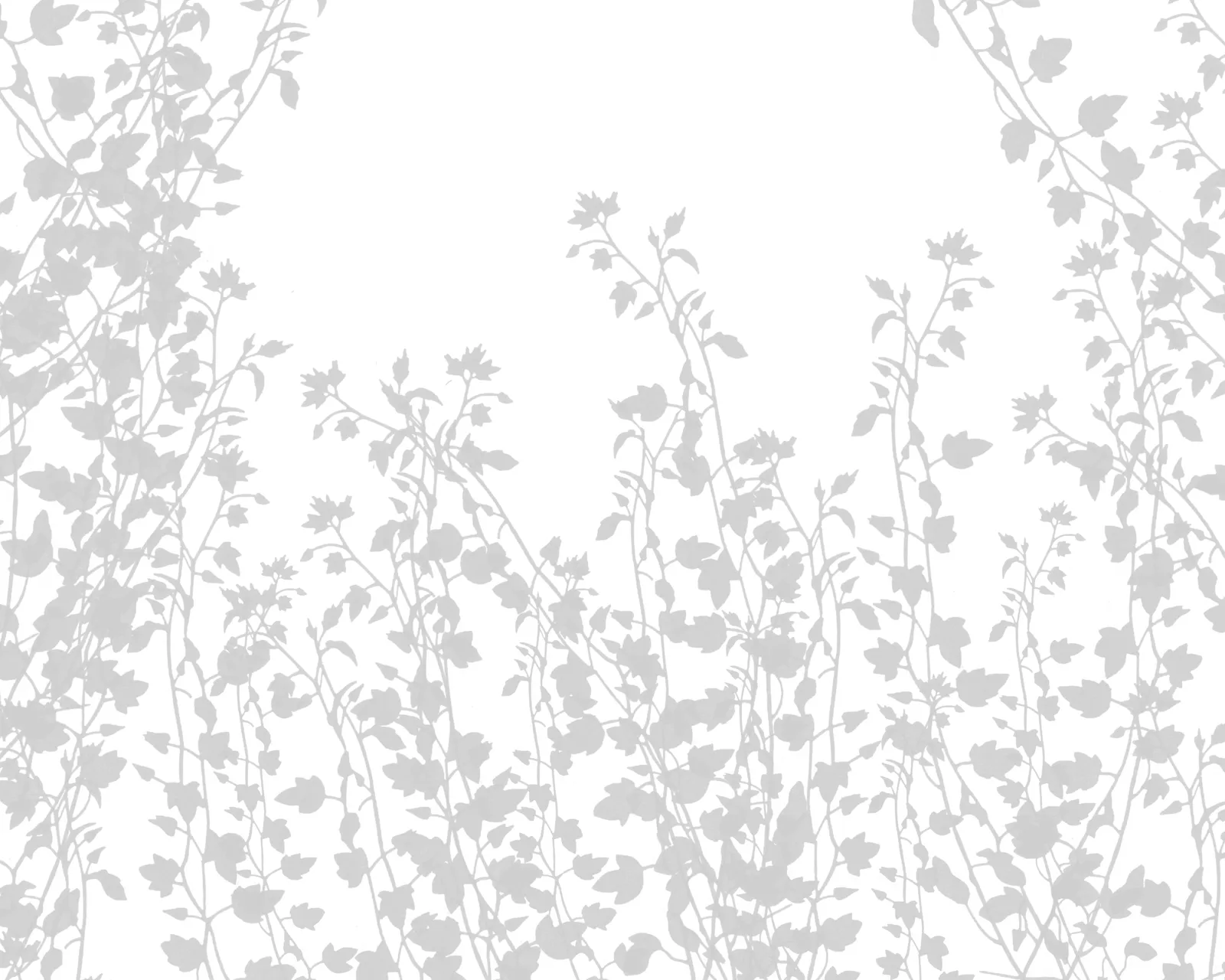 Motif : Plantes grimpantes 01, dessin seul sans mise en situation